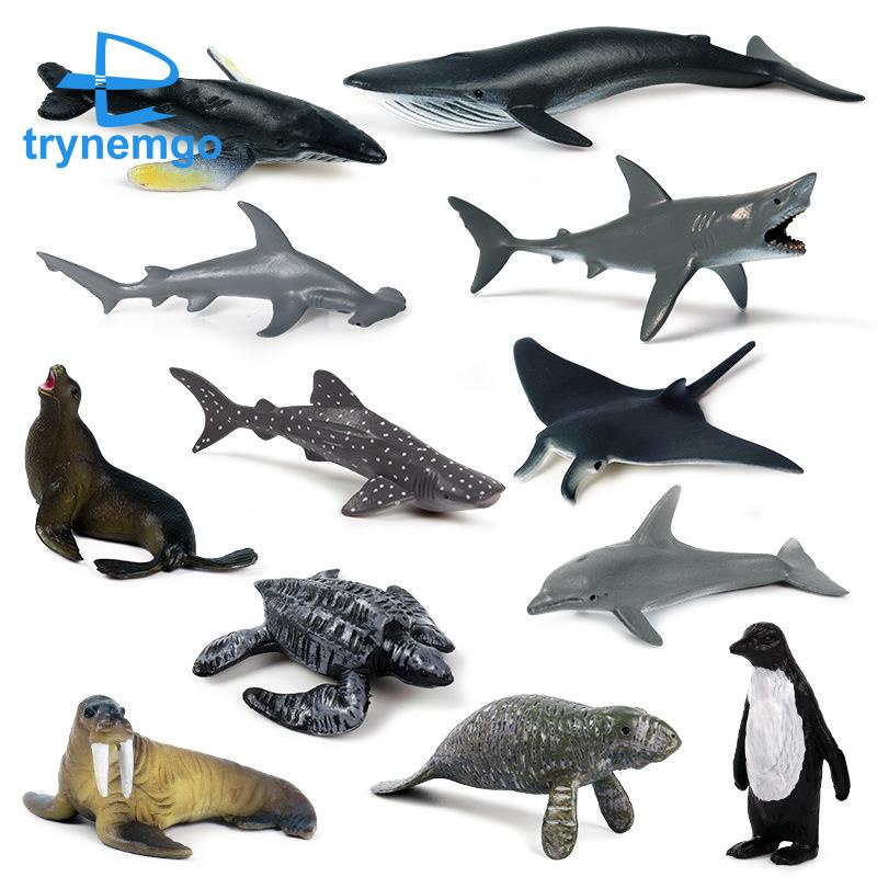 12 mô hình động vật biển nhân tạo nhỏ hình cá mập/cá voi sát thủ