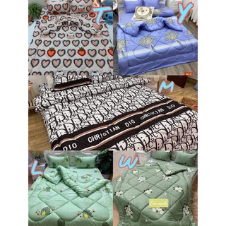 Combo 5 món ga gối chăn phao poly cotton có ruột bông dày loại 1 ( vỏ gối+vỏ ga+vỏ gối ôm+chăn phao có ruột