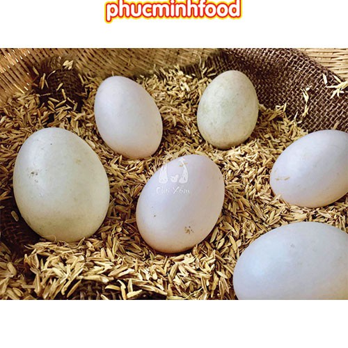 Trứng Vịt Tươi Vỉ 10 trứng