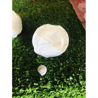 Pudding sữa dê cho hamster, sóc úc, sóc bay