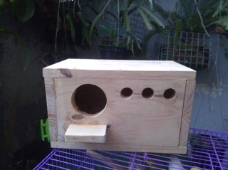 Tổ đẻ Yến Phụng