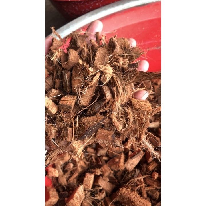 1 bao sơ dừa đả phơi khô sử lí hết chất chát về chỉ việc bỏ vào chậu trồng lan hoặc cây cảnh 0.5 kg