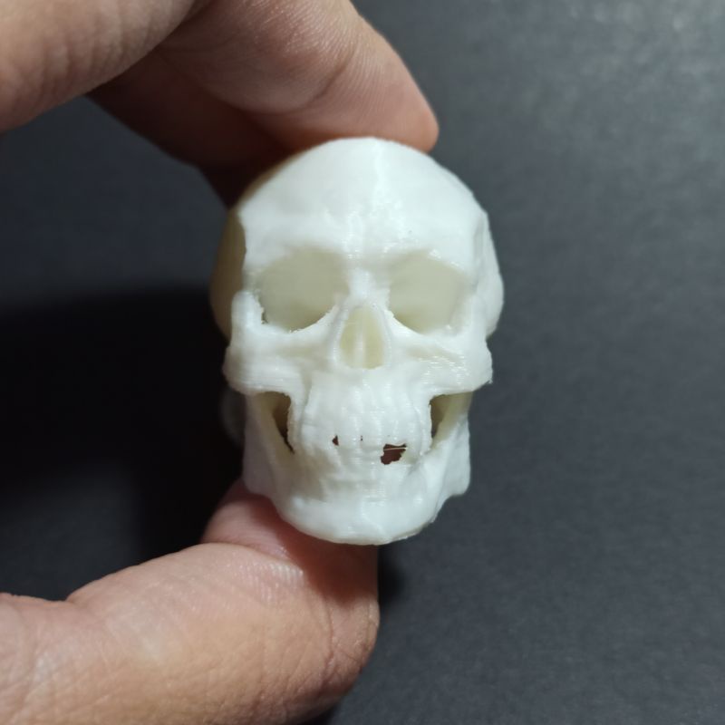 Mô hình đầu lâu xương sọ người cao 36mm chi tiết, trang trí kinh dị, chuồng bò sát, sa bàn, halloween