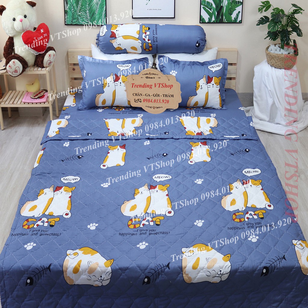 Combo chăn hè ga gối Poly Cotton họa tiết đáng yêu, giá siêu rẻ | BigBuy360 - bigbuy360.vn