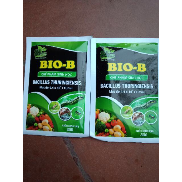 bộ 3 gói chế phẩm sinh học diệt côn trùng Bio-b gói 30g