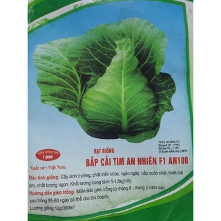 Hạt giống Bắp Cải F1 AN NHIÊN – 10gram, CHẤT LƯỢNG CAO
