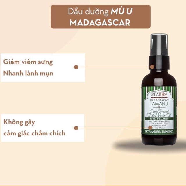 Dầu dưỡng da mù u nam phi Shea terra - tamanu oil shea