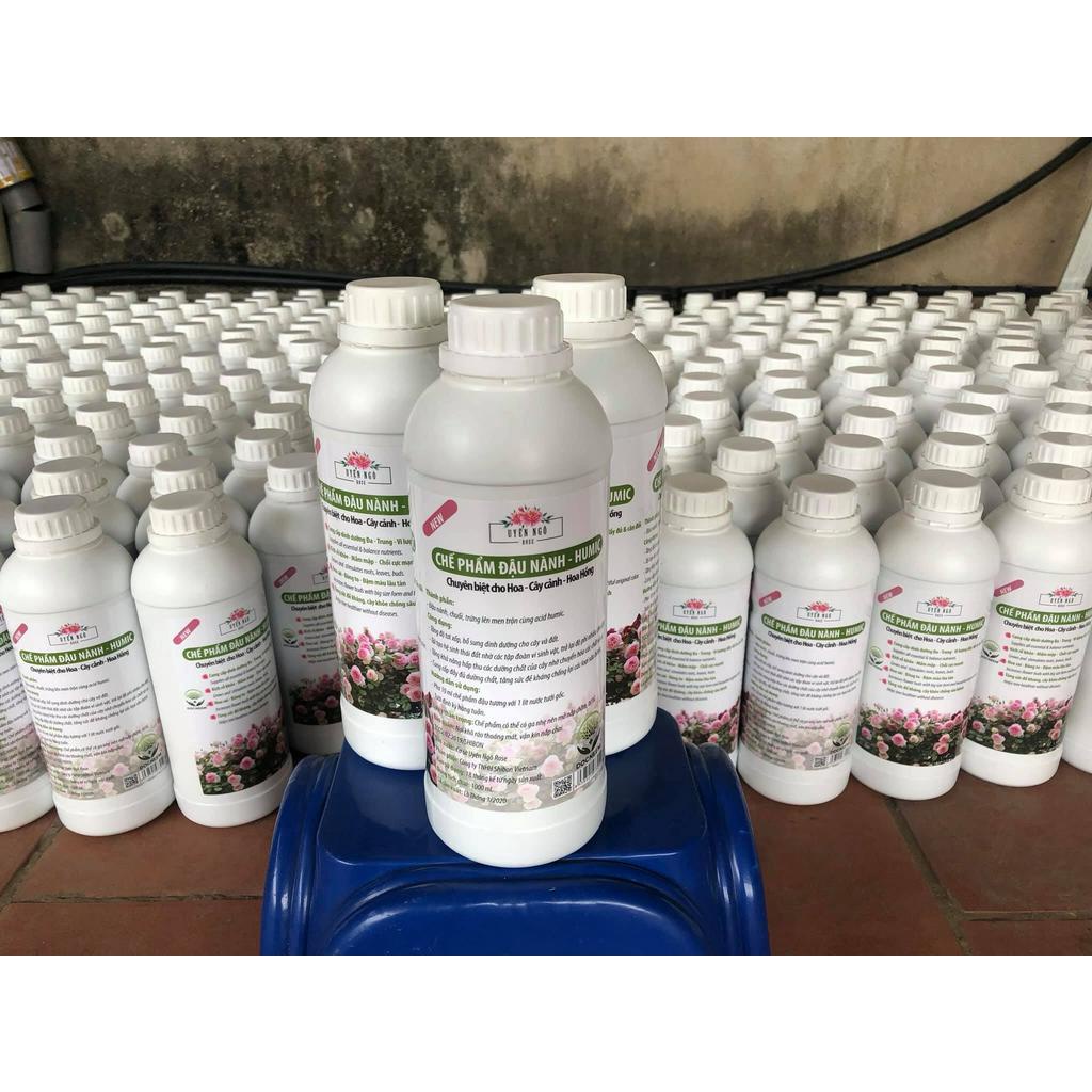 Chế phẩm phân bón đậu nành trứng chuối lên men humic chuyên dành cho hoa đặc biệt hoa hồng của uyên ngô