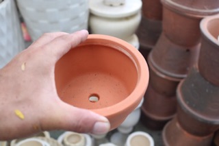 Chậu đất nung trồng cây