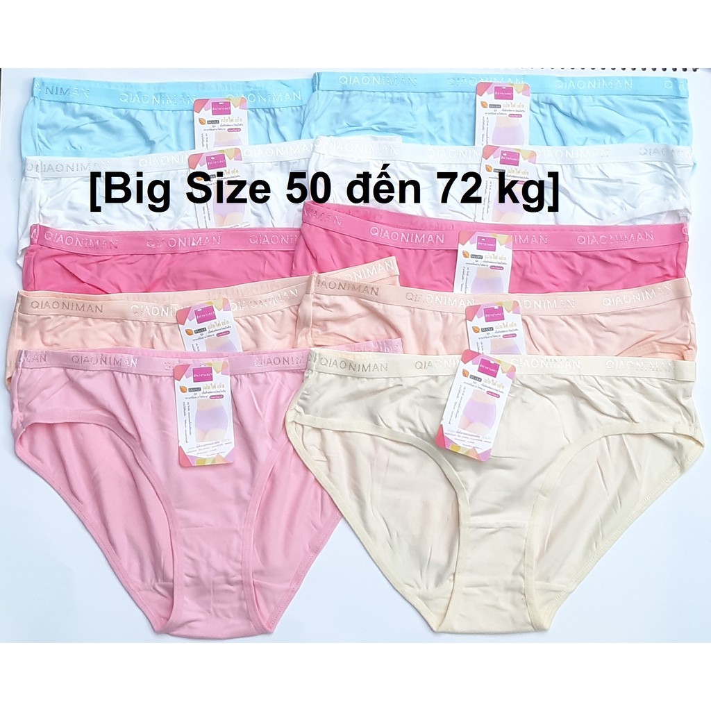 Combo 10 Quần Lót nữ Big Size 50 đến 79 kg 100% Thun Cotton