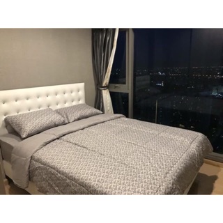 [CÓ SẴN] DRAP COTTON HOUSE THÁI LAN MẪU MỚI