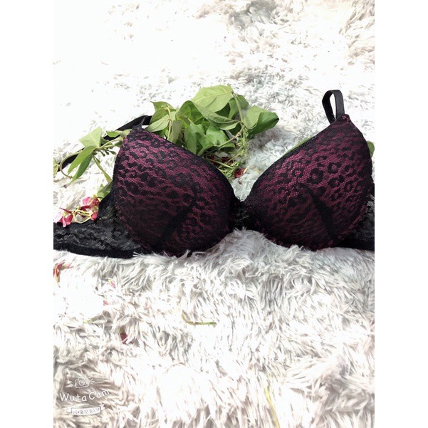 ♥️ SHOP UY TÍN ♥️ Áo Ngực Xuất Dư Các thương Hiệu Nước Ngoài Chủ Yếu Xuất Mỹ | BigBuy360 - bigbuy360.vn