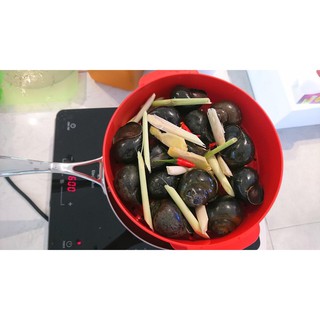 Xửng hấp Tupperware Steam It 2 tầng