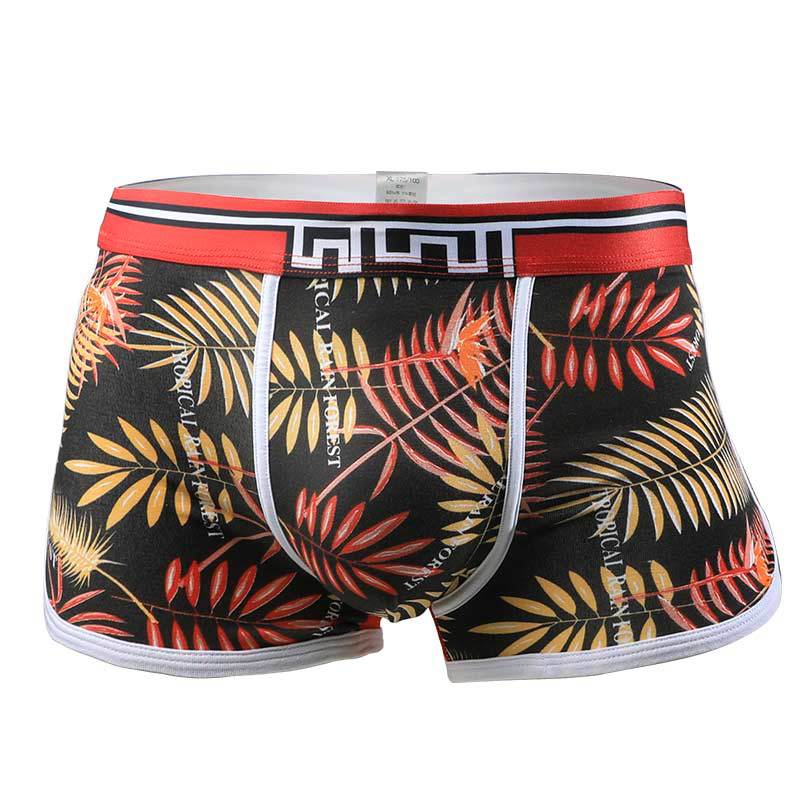 Quần Lót Boxer 3D Bằng Cotton Mỏng Thoáng Khí Thời Trang Mùa Hè Cho Nam C544