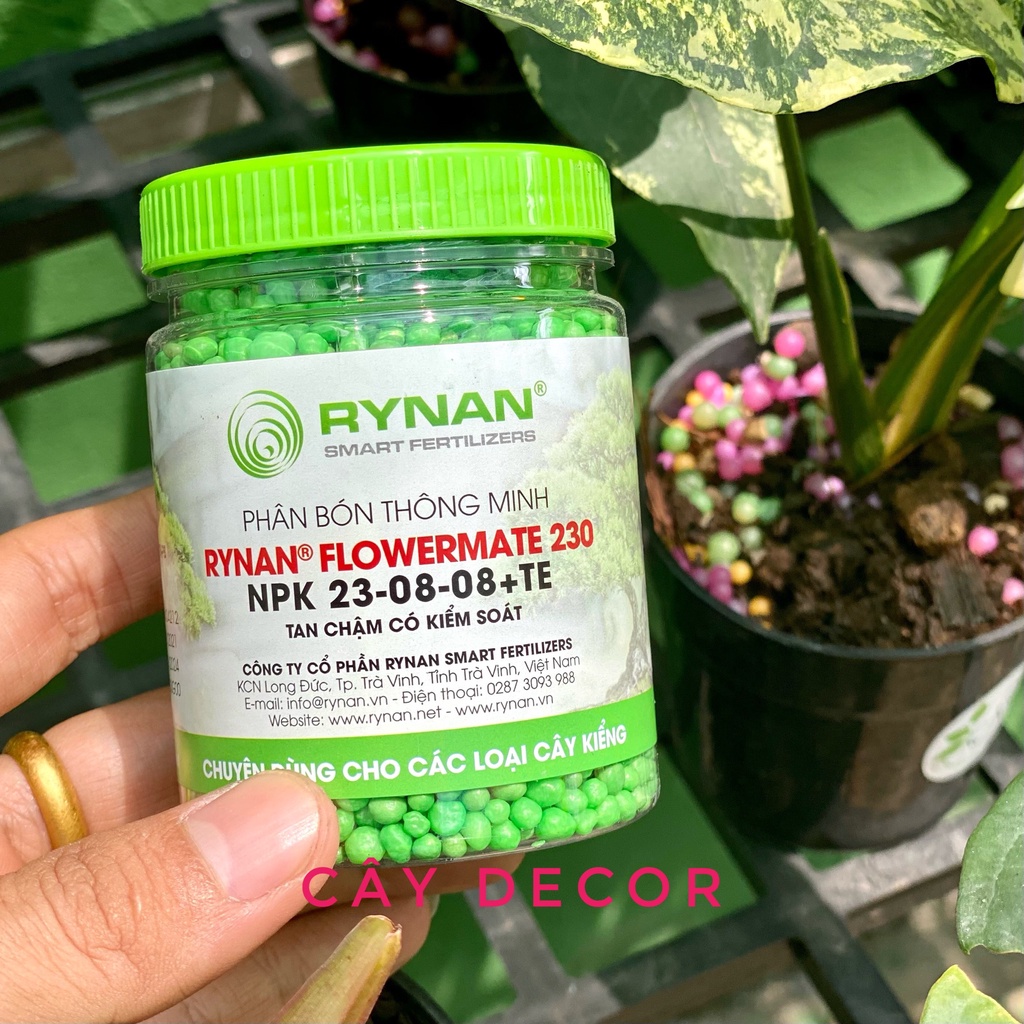 Phân tan chậm cho cây kiểng RYNAN hũ 150g