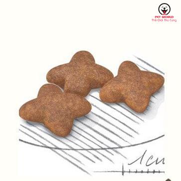 Thức Ăn Khô Cho Chó Trưởng Thành Giống Nhỏ - Royal Canin Mini Adult