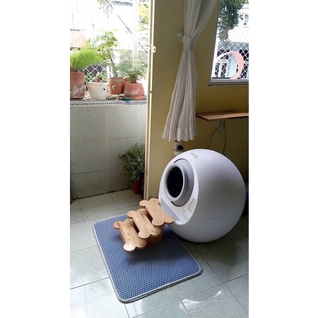 Bật thang máy vệ sinh tự động cho mèo