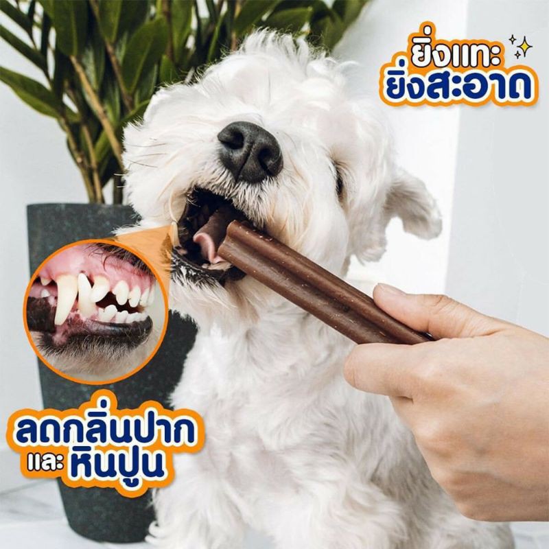 XƯƠNG GẶM CHĂM SÓC RĂNG LONG LASTING DENTAL BAR GOODIES CHO CHÓ 3PCS/BAG