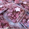 Hoa anh đào muối Nhật 50g