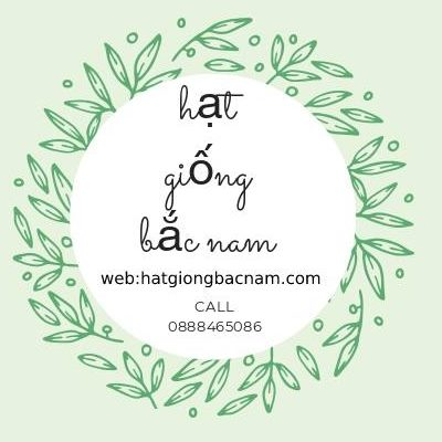 hatgiongbacnam.com