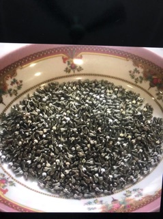 Kim Đốt , Ốc Luồn Kim Cho Máy Đốt Mụn Đốt  Nám (6 Cái)