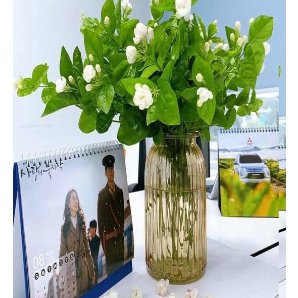 Lọ hoa thủy tinh đẹp mẫu mới phong cách Bắc Âu sang trọng 25cm