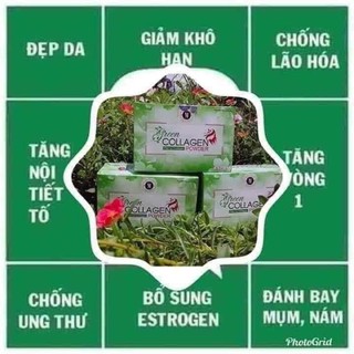 Diệp lục collagen powder