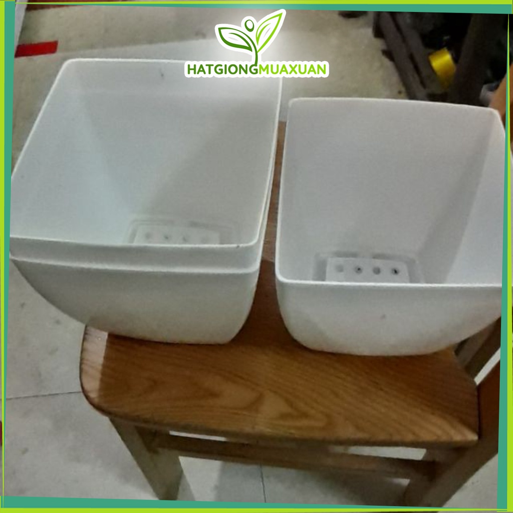 [HOT] Chậu nhựa V20 cao cấp rộng 20cm x20cm c/lượng, hg C/ty.