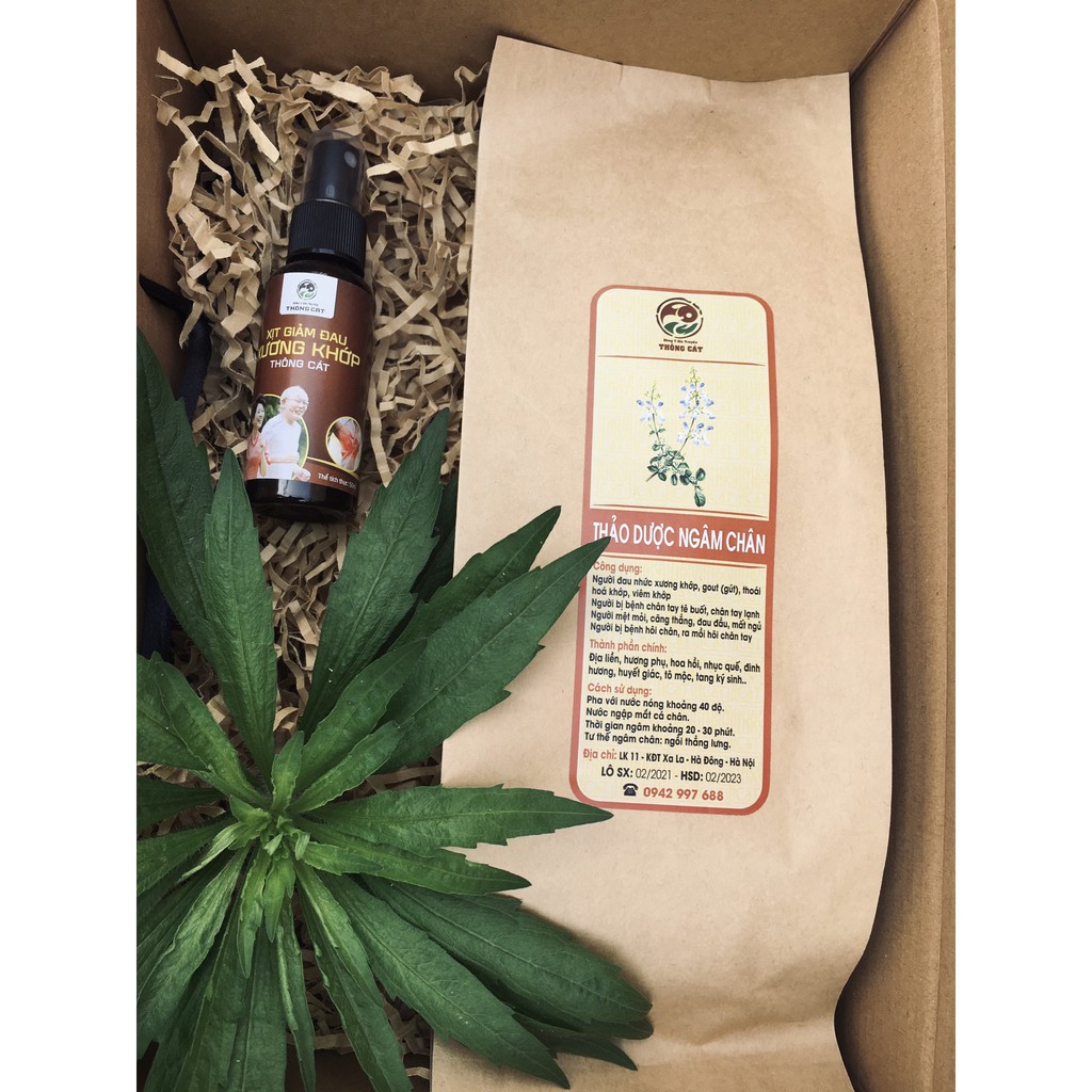 Set quà TẾT LONG PHỤNG ĐỒNG QUY Đông y gia truyền Thông Cát_Hộp quà sang trọng đẳng cấp biếu Sếp, đối tác ý nghĩa 2022 | BigBuy360 - bigbuy360.vn