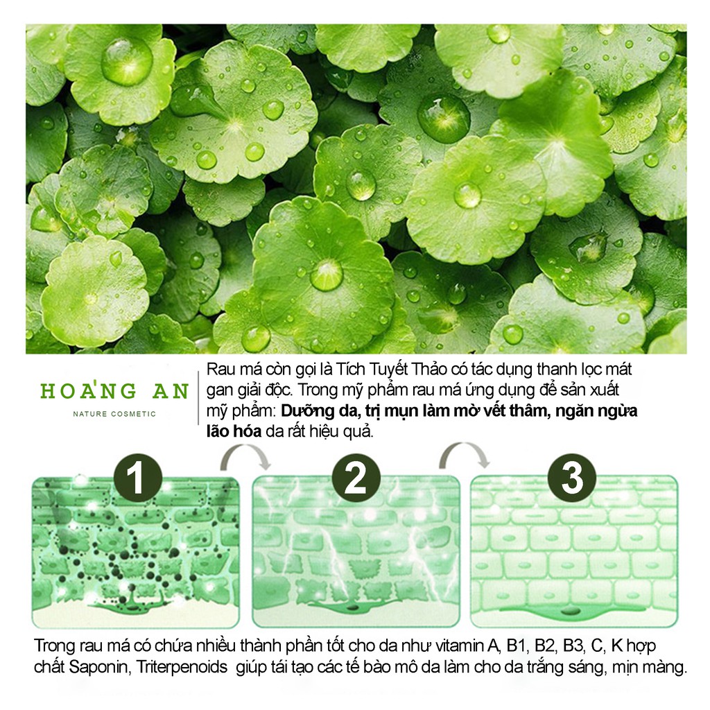 BỘ SẢN PHẨM DƯỠNG DA RAU MÁ - BIOAQUA