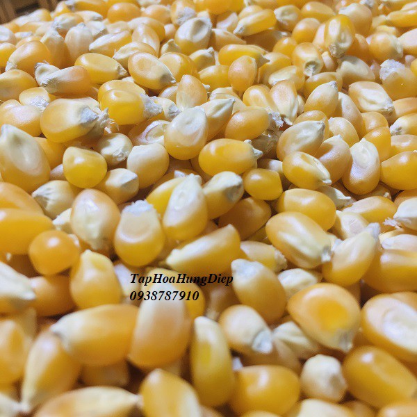 Bắp Rang Bơ-Bắp Mỹ-500g | BigBuy360 - bigbuy360.vn