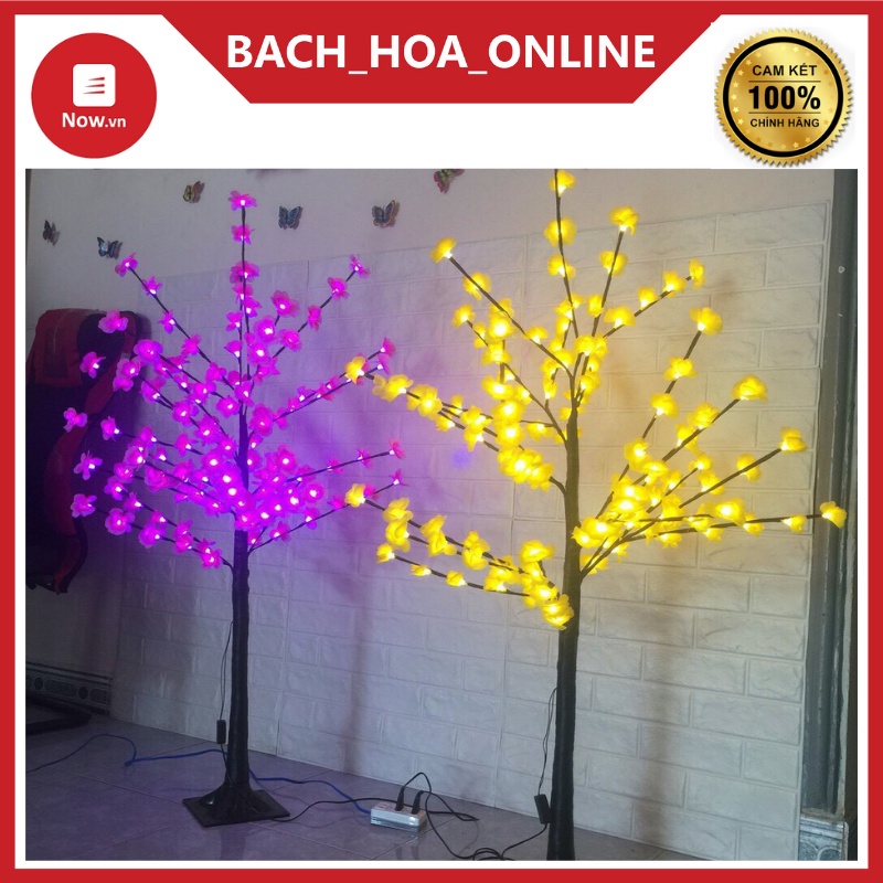 Cây hoa mai - hoa đào 1M2 trang Trí Tết Có Đèn Led Cực Đẹp