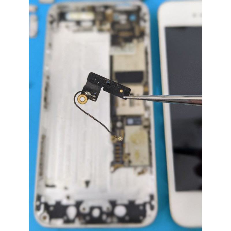 Dây cáp anten wifi thay thế  cho ip 5 / 5s / 6 / 6plus / 6s / 6s plus / 7 / 7plus / 8 / 8plus tháo máy