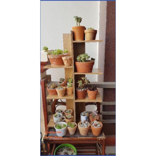 💥SALE SỐC💥KỆ SÁCH KỆ CÂY GỖ VUÔNG 5 TẦNG