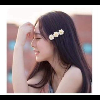 Cặp bá lá cài tóc