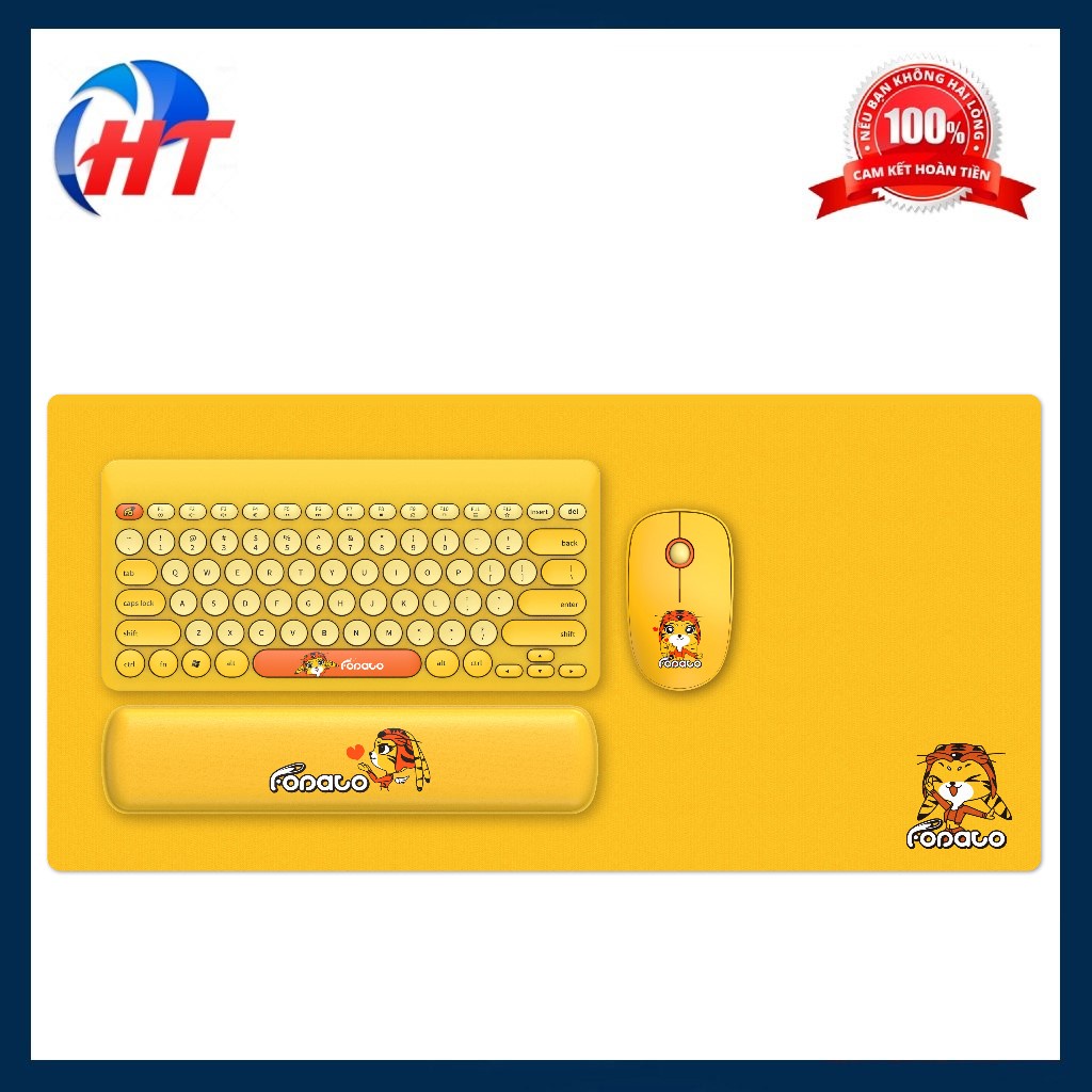 Combo Phím + Chuột + Lót Chuột + Tay Đệm FD8221 LK586