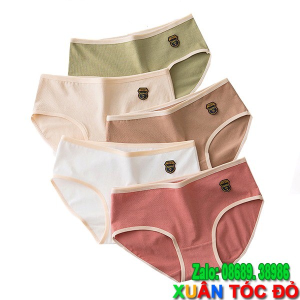 SỈ ZALO RẺ HƠN NHIỀU_ Quần Lót Cotton Xịn Màu Lạ Mới 5056 (Vải Tốt, Đường May Đẹp)