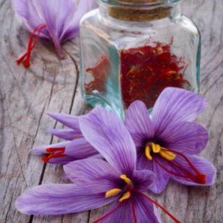 Saffron Tây Á