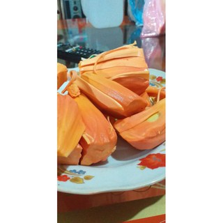 Mít ruột đỏ Indo