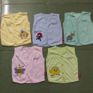 Combo 2 áo ghi lê catter  cotton cho bé