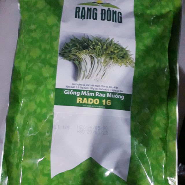 HẠT GIỐNG MẦM RAU MUỐNG (bịch 1kg như hình)