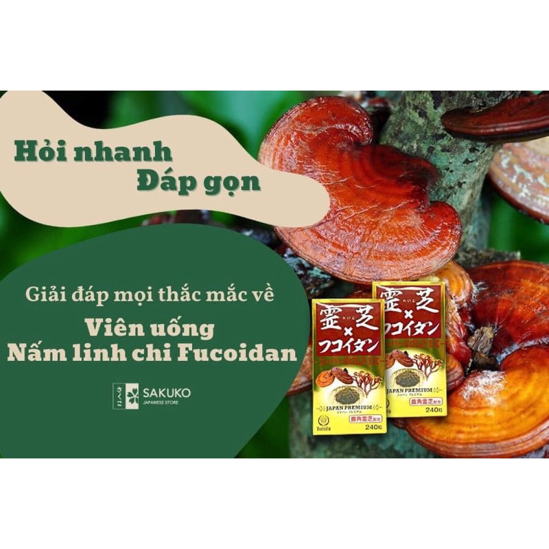 IKIMOTO-Viên Nấm linh chi Fucoidan Super Gold 240v