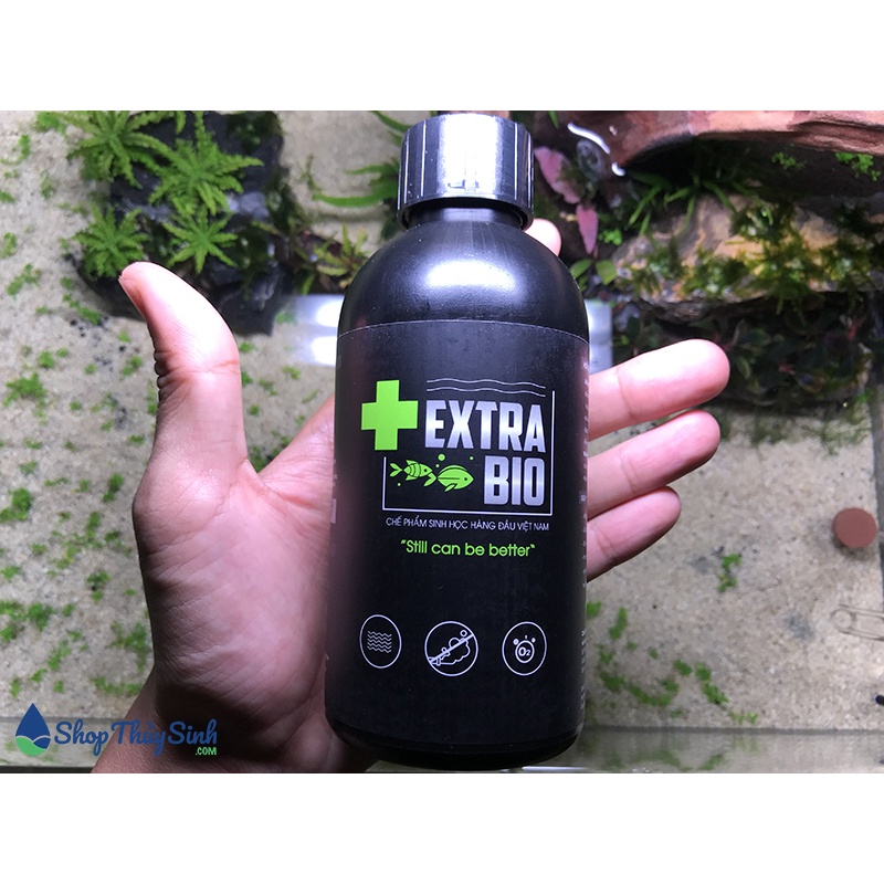 Vi Sinh Các Loại Cho Hồ Cá Extrabio 125ml Men làm trong nước
