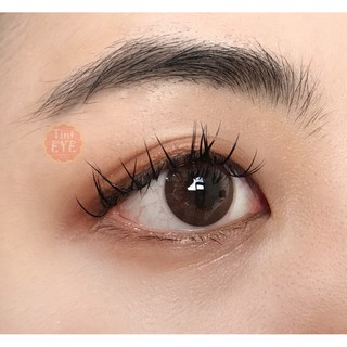 Kính áp Tròng Tinteye các mẫu áp tròng  Nâu Choco + nước ngâm + nhỏ mắt