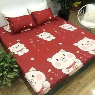 Set ga gối cotton poly( được chọn mẫu)