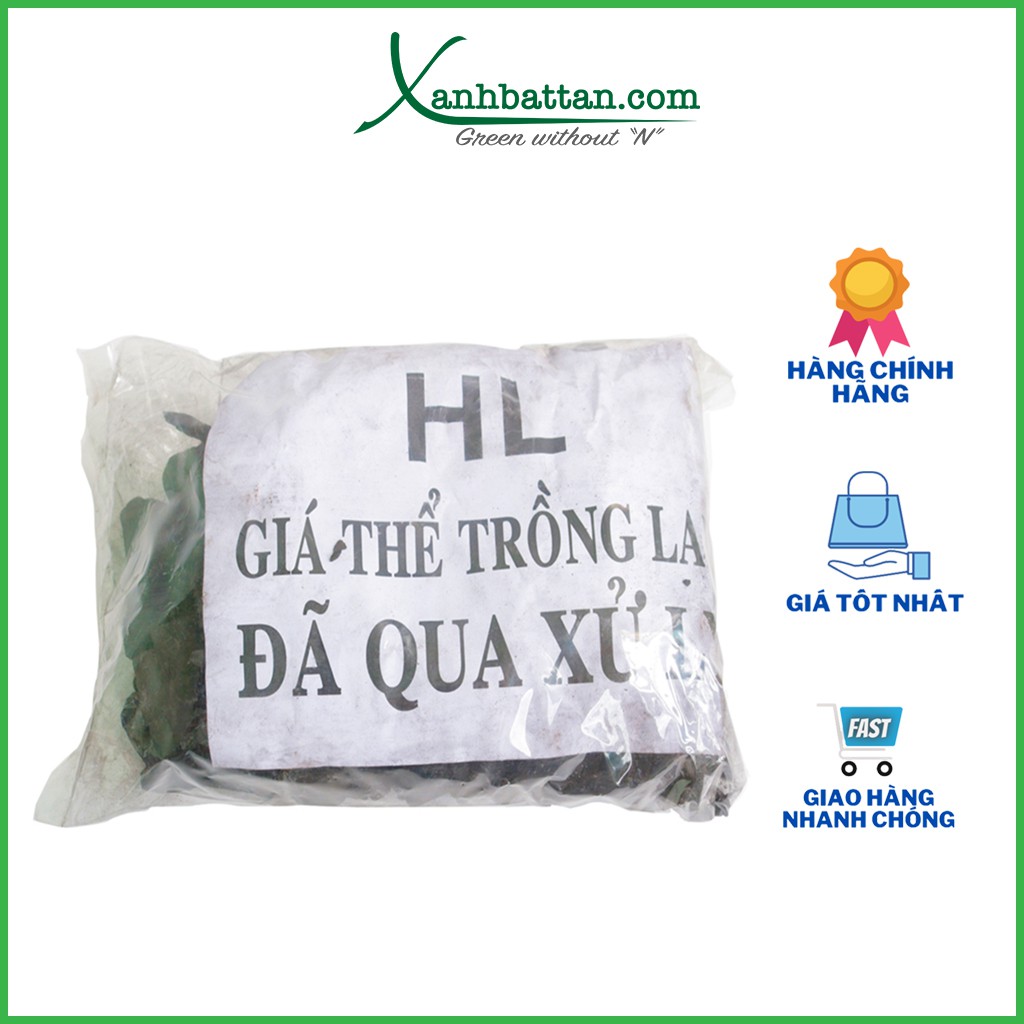 Giá thể than củi trồng phong lan đã qua xử lý 400 gram