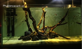 Led rọi Biotop