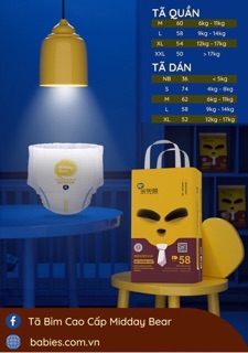 (KÈM QUÀ TĂNG) BỈM QUẦN/DÁN MIDDAY BEAR S74/M62/L58/XL52