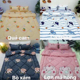 Set chăn phao ga gối poly