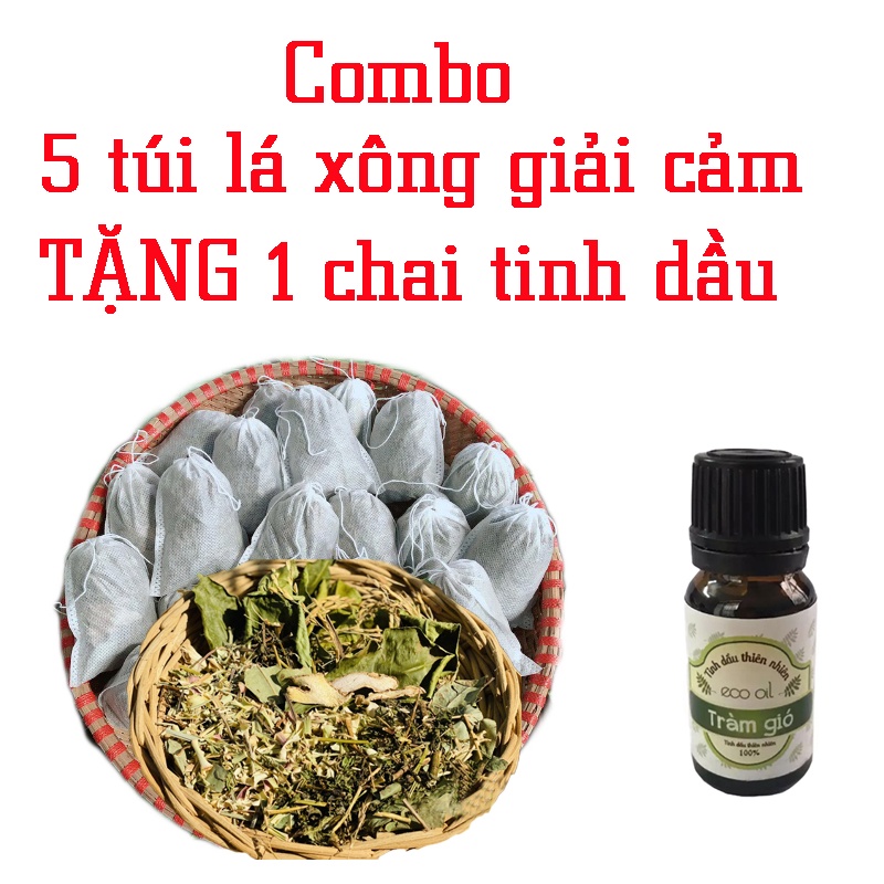 Combo 5 túi Lá xông tắm giải cám phục hồi sức khỏe, tăng sức đề kháng túi lọc tặng tinh dầu